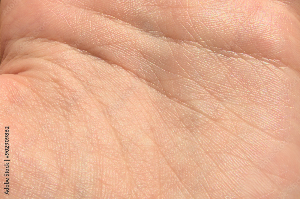 Surface of inner side of a human hand close up with veins and lines Surface of inner side of a human hand close up with veins and lines