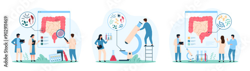 Good and bad bacteria in human intestines set. Tiny people with magnifying glass and microscope research small microbes and bacillus, lactobacillus bacterium inside bowel cartoon vector illustration