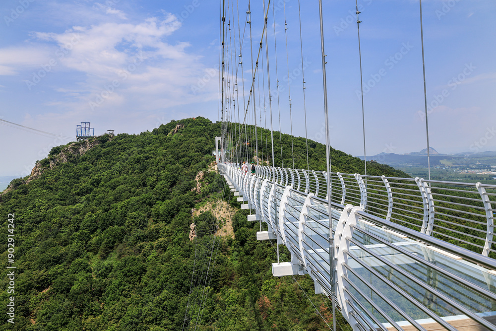 Obraz premium China, Jilin Province, Longjing County , suspended glass bridge 5 D