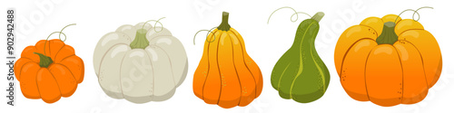 Autumn set of cute and cozy pumpkins - design elements. Simple set of drawn pumpkins. Fall, Thanksgiving, pumpkin season.