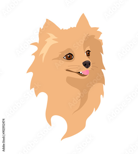 Spitz dog. Isolated vector illustration on white background