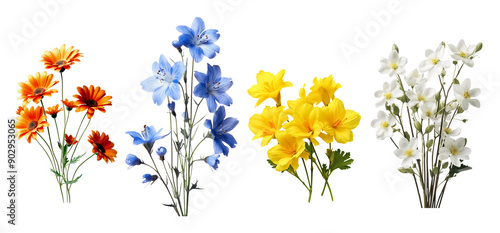 Set of colors various flowers, orange flower, white flower, blue flower and white flower isolated on transparent background.