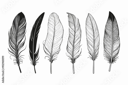 Set of bird feather silhouettes, vector illustration, isolated on white background. Collection of black plume icons and patterns for design and decoration.
