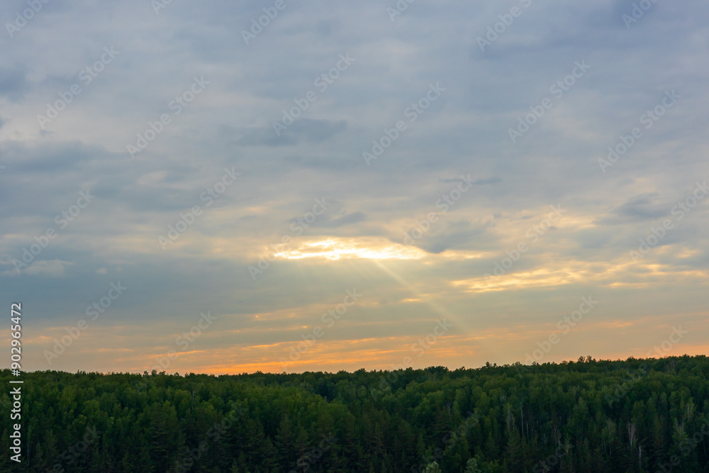 Fototapeta premium the sky from which a ray of light shines on the forest