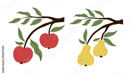 Branch with red apples and branch with yellow pears. Colorful vector illustration with ripe fruits and leaves on branches.