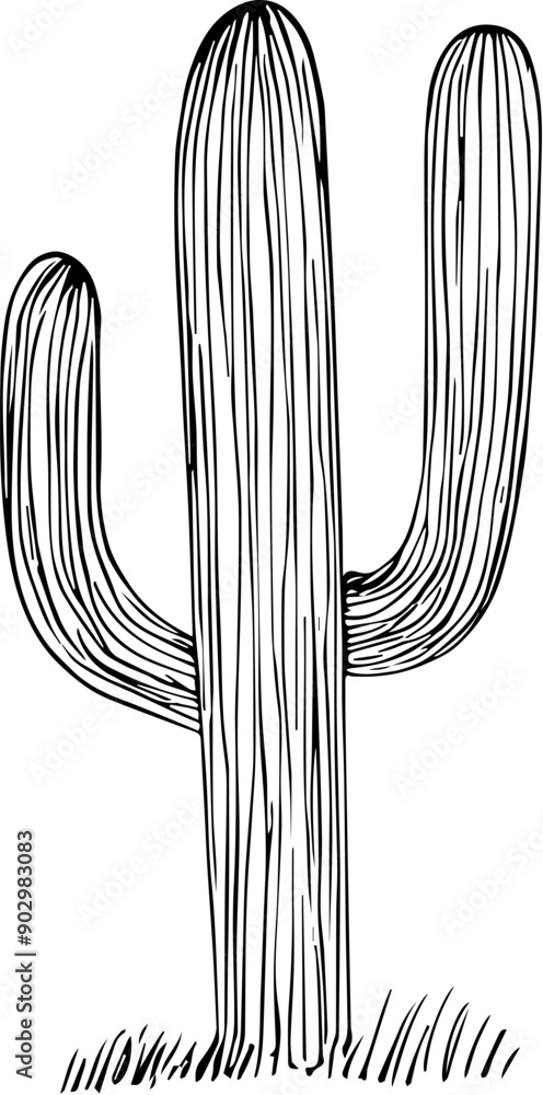 1 1