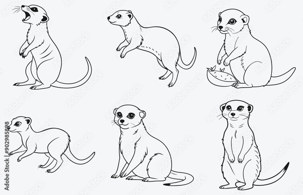 Obraz premium Ultimate Meerkat Vector Set Collection