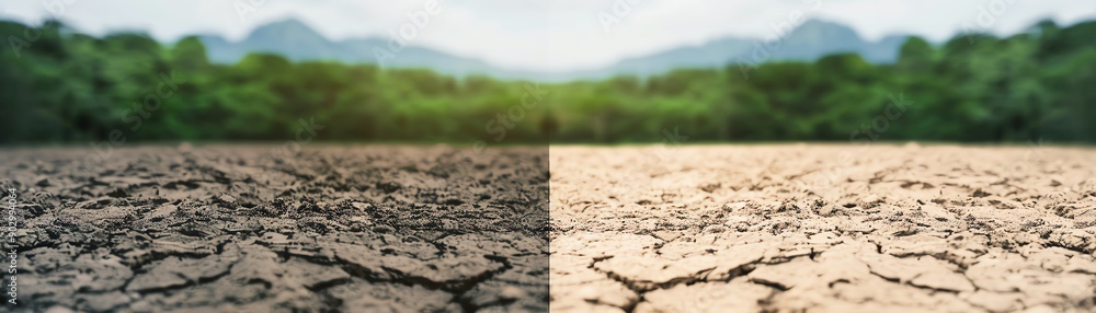 Before and after scenes of a forest cleanup, waste reduction impact, environmental transformation Before and after scenes of a forest cleanup, waste reduction impact, environmental transformation