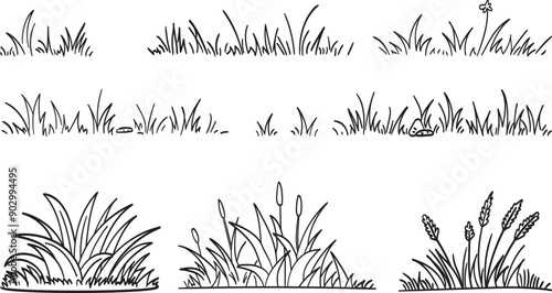 Grass doodle sketch style set. Hand drawn grass field outline scribble background. Sprout, flower, clover elements. Vector illustration.