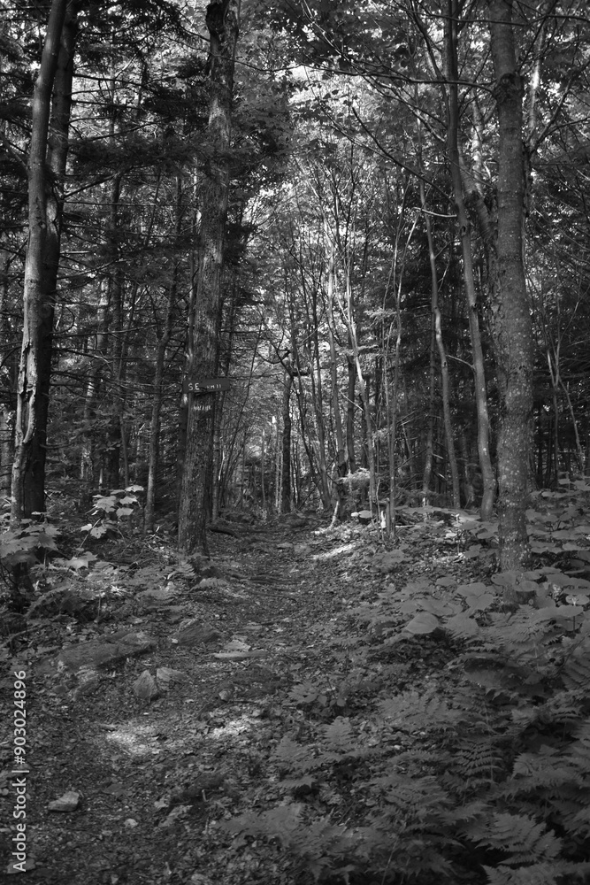 Naklejka premium Boucle Mont Singer 29 Juillet 2024 - N&B