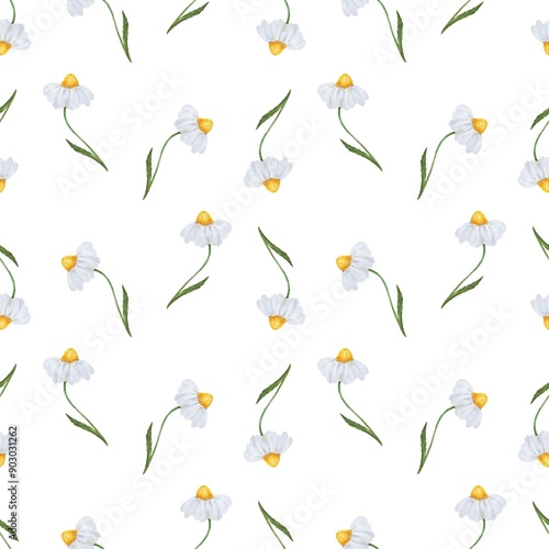 Seamless pattern repeating hand drawn illustration. Watercolor illustration delicate isolated daisy on white background.