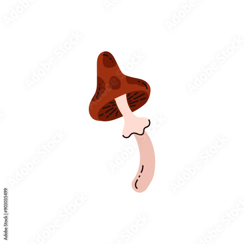 Fly agaric poisonous mushroom icon. Inedible mushroom toadstool or amanita, vector flat witches potion, venom ingredient