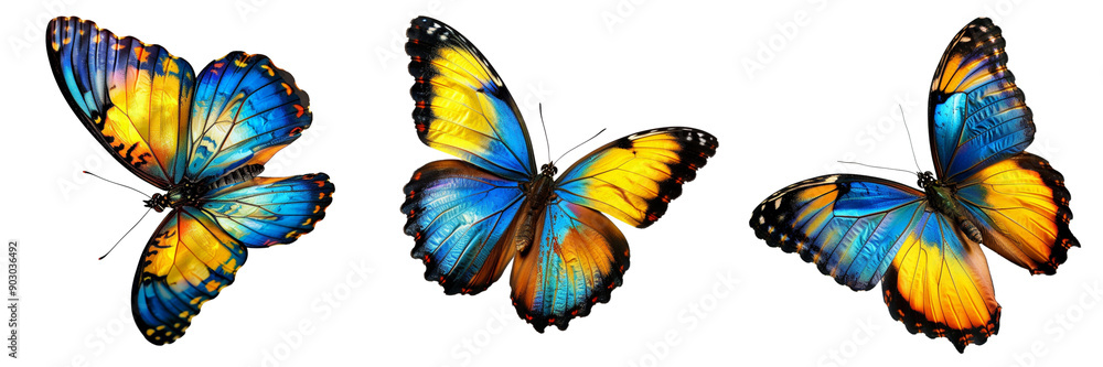 Set of colorful butterfly showcasing blue, yellow, and orange hues in mid-air isolated on transparent background Set of colorful butterfly showcasing blue, yellow, and orange hues in mid-air isolated on transparent background