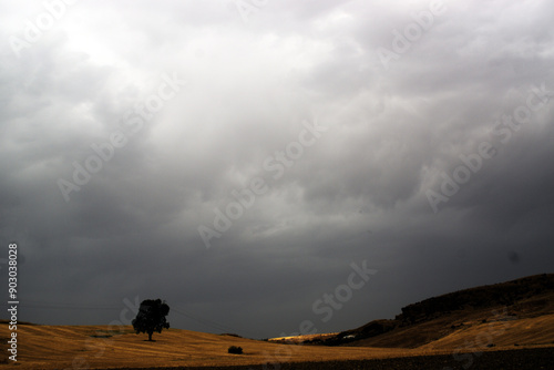Wallpaper Mural Ovarcast sky in Carmona, Seville Torontodigital.ca
