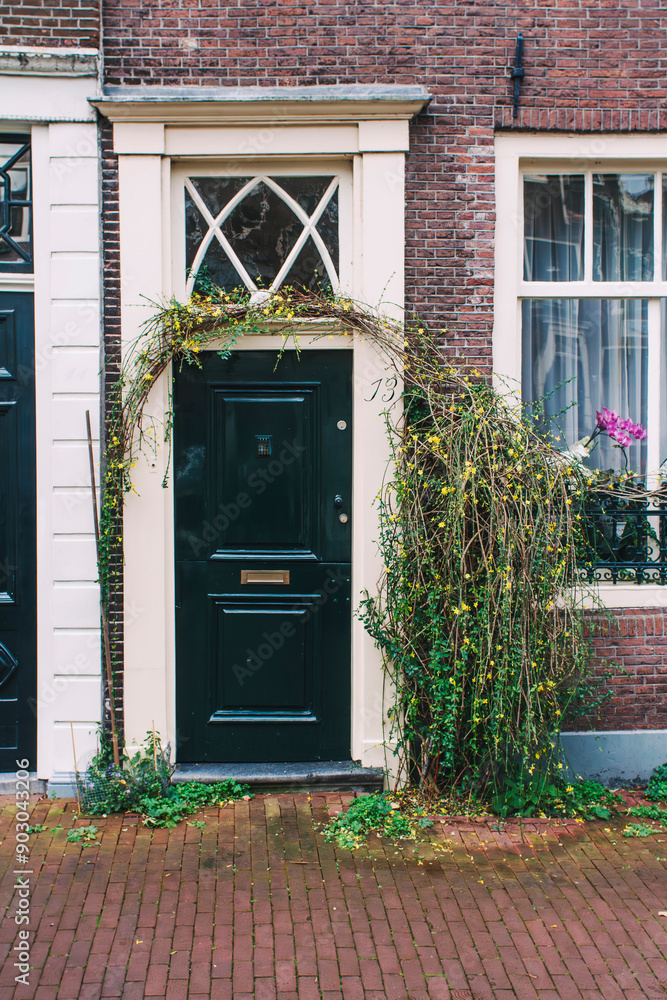 Naklejka premium Puerta antigua de una casa en Ámsterdam adornada con una enredadera