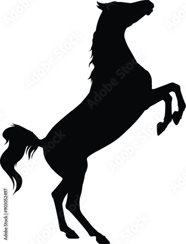 Arabian horse rearing
