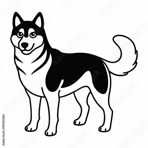 Siberian Husky dog vector illustration of a dog,animal,