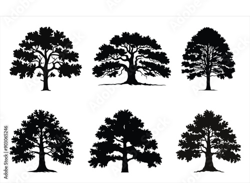 Detailed tree silhouettes vector on white background
