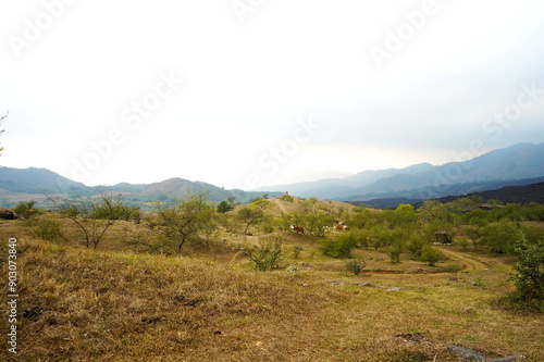 Llanura cerda del Volcán