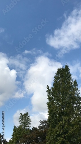 Obraz na płótnie 나무와구름