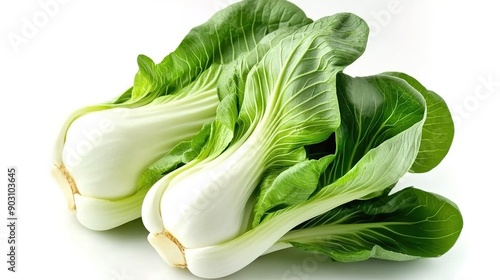 Baby pak choi against white backdrop photo