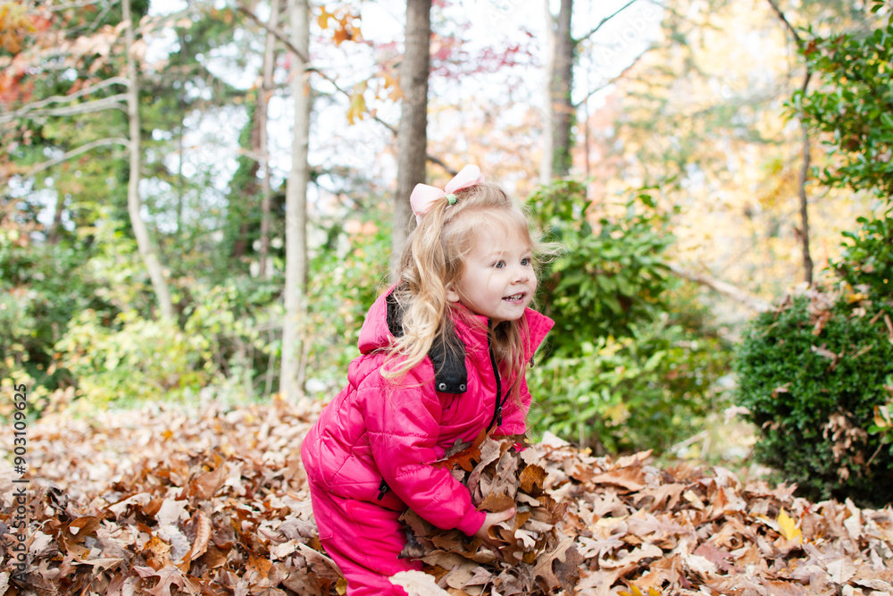 Cute caucasian happy toddler girl playing in fallen leaves in the backyard enjoying the autumn season. Fallen leaves fun. Happy childhood concept Cute caucasian happy toddler girl playing in fallen leaves in the backyard enjoying the autumn season. Fallen leaves fun. Happy childhood concept