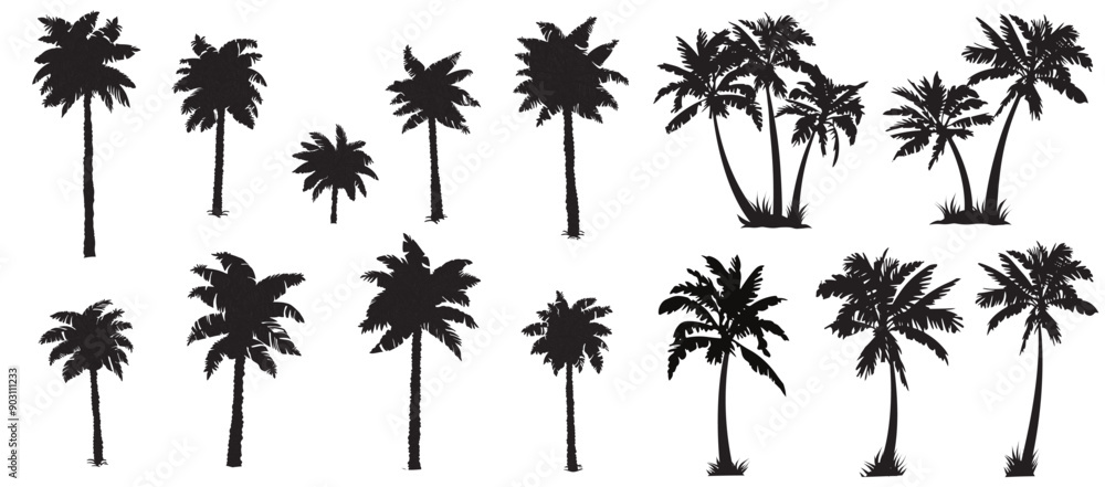 Black palm tree set vector illustration on white background silhouette art black white stock illustration Black palm tree set vector illustration on white background silhouette art black white stock illustration
