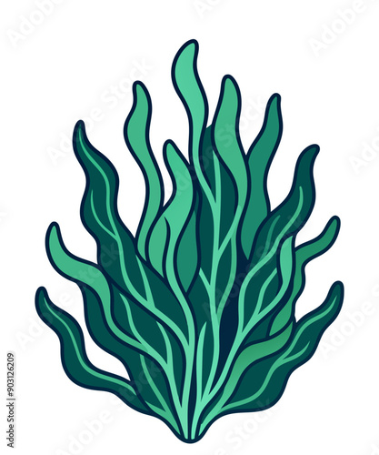 Hand drawn seaweed isolated on white. Cartoon style vector illustration.