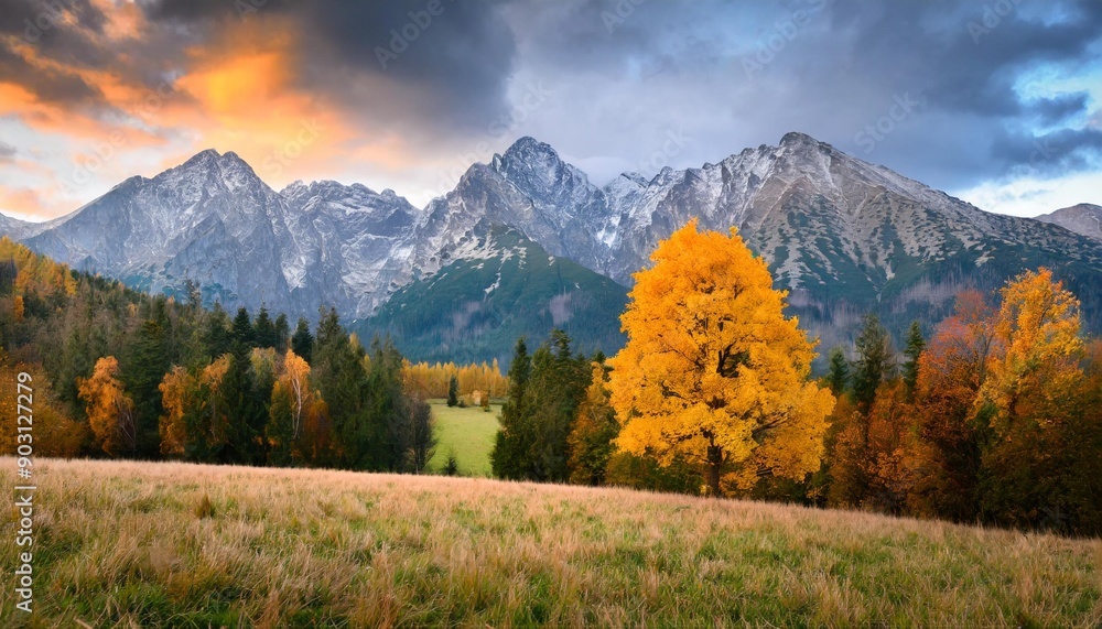 Beautiful autumn evening on a pasture under rocky mountains with a wild forest, a beautiful yellow tree in the middle of a meadow and a colorful dramatic sky. High tatras NP, Poland, Slovakia Beautiful autumn evening on a pasture under rocky mountains with a wild forest, a beautiful yellow tree in the middle of a meadow and a colorful dramatic sky. High tatras NP, Poland, Slovakia