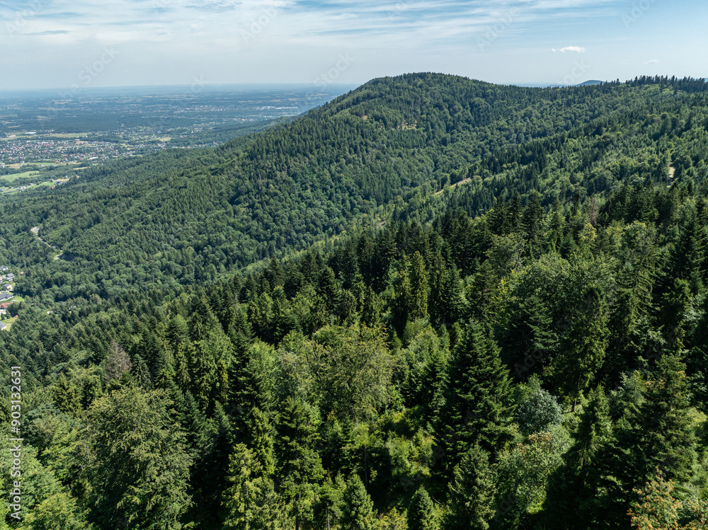 Obraz premium Stunning Aerial Drone View of Summer Green Forests in the Beskid Mountains, Bielsko Biala, Magurka Wilkowicka. Beskid summer mountains panorama.