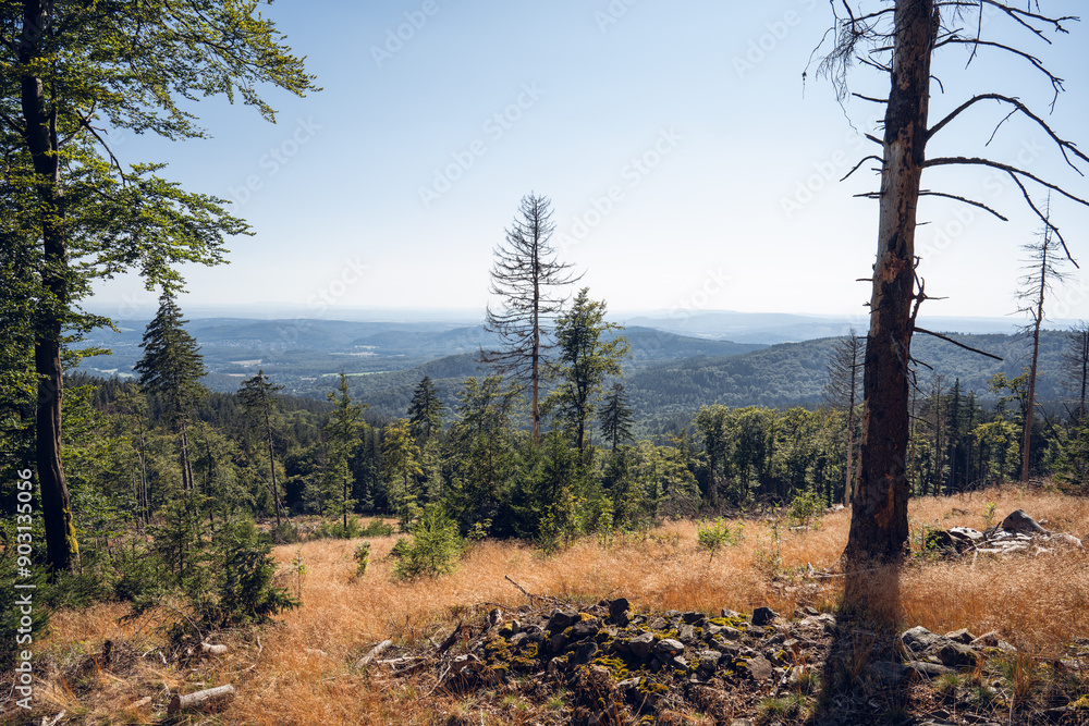 Eisenzeitliche Ringwälle am Altkönig im Taunus, Juli 2024