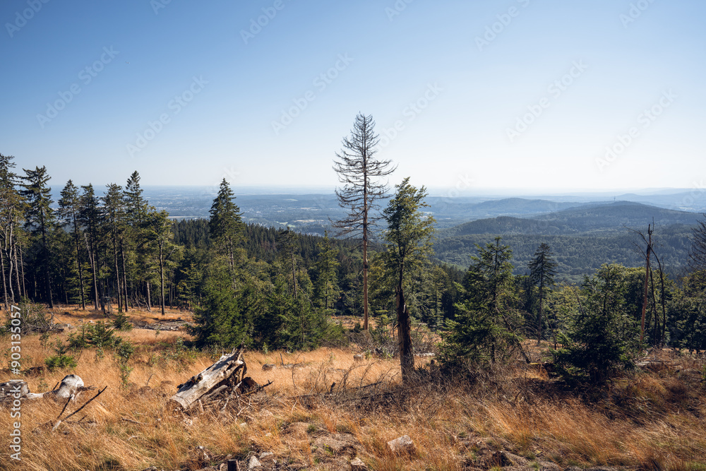 Eisenzeitliche Ringwälle am Altkönig im Taunus, Juli 2024