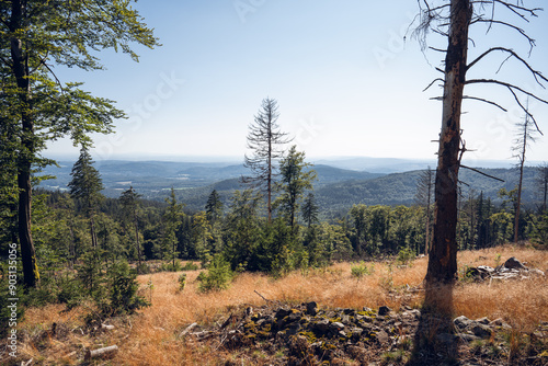 Obraz na płótnie Eisenzeitliche Ringwälle am Altkönig im Taunus, Juli 2024 w salonie