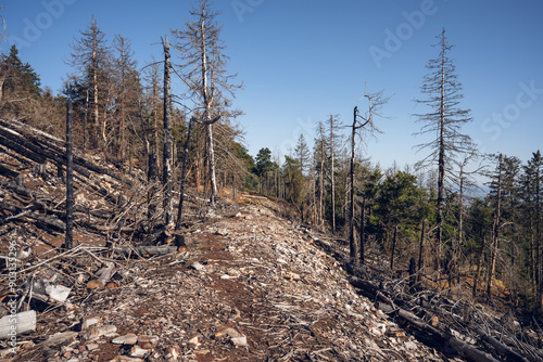 Obraz na płótnie Eisenzeitliche Ringwälle am Altkönig im Taunus, Juli 2024 w salonie