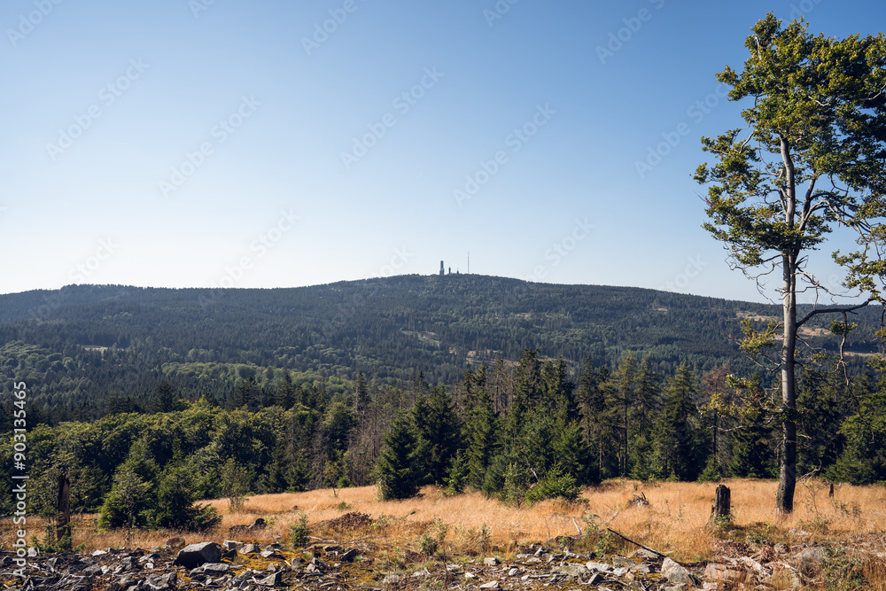 Eisenzeitliche Ringwälle am Altkönig im Taunus, Juli 2024