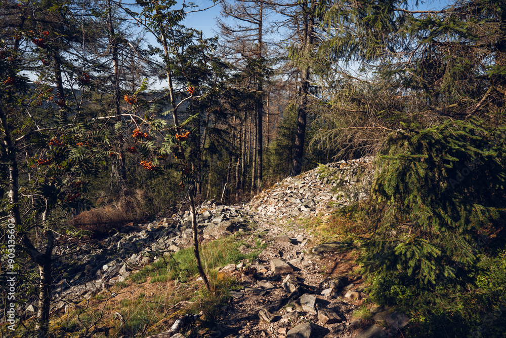 Eisenzeitliche Ringwälle am Altkönig im Taunus, Juli 2024