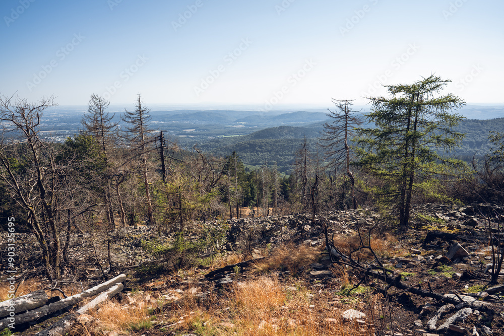 Eisenzeitliche Ringwälle am Altkönig im Taunus, Juli 2024