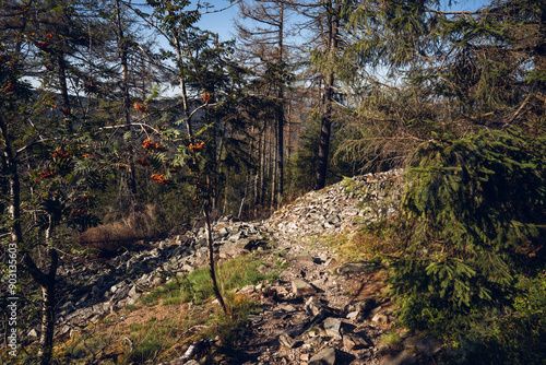 Obraz na płótnie Eisenzeitliche Ringwälle am Altkönig im Taunus, Juli 2024 w salonie