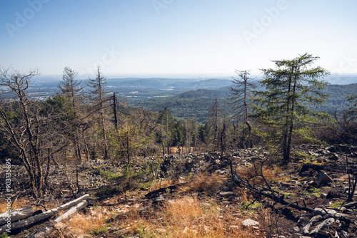 Obraz na płótnie Eisenzeitliche Ringwälle am Altkönig im Taunus, Juli 2024 w salonie