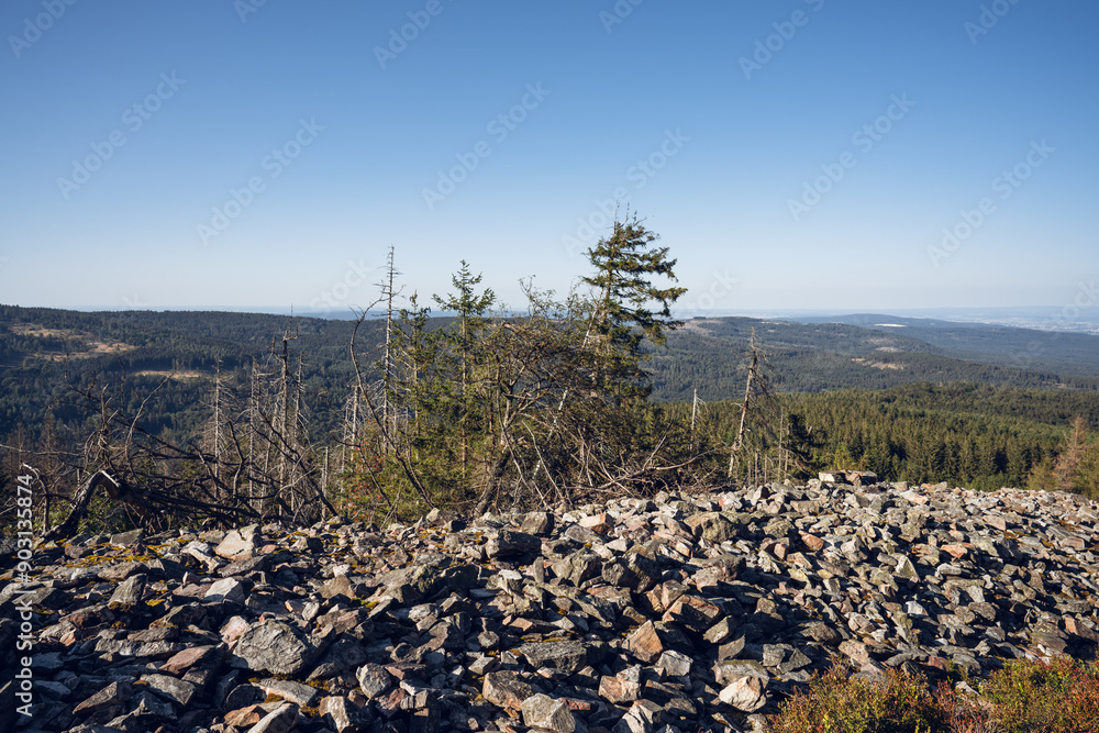 Eisenzeitliche Ringwälle am Altkönig im Taunus, Juli 2024
