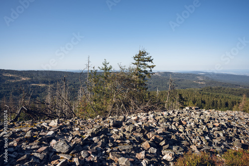 Obraz na płótnie Eisenzeitliche Ringwälle am Altkönig im Taunus, Juli 2024 w salonie