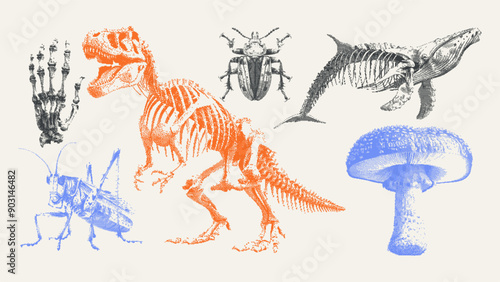 Dinosaur, mushroom, whale, beetles, hand. Retro Surreal Bitmap Vector Kit. Halftone cutout elements in a futurism style. Vintage psychedelic dotted stickers for poster art or t-shirt.