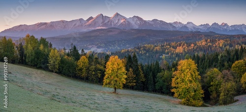 Fototapeta Naklejka Na Ścianę i Meble -  South Poland Panorama with snowy Tatra mountains in autumn. Poland autumn hills.
Fall in Poland. Beautiful Polish landscape.