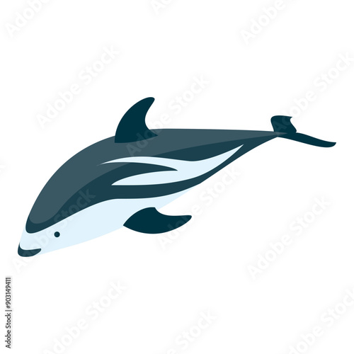 3D Isometric Flat Vector Set of Types Of Dolphins, Educational Classification. Item 3