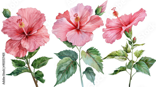 Wallpaper Mural Beautiful Pink Hibiscus Flowers with Green Leaves Watercolor Painting Torontodigital.ca
