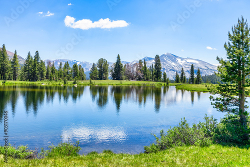 Beautiful lake and fur-trees, in national park Yosemite on road on Tioga pass.