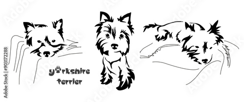 Stylized Yorkshire Terrier. Vector drawing of a small dog. Gestalt animal design