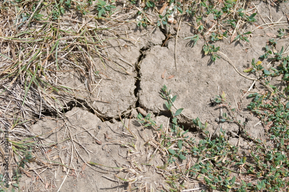 Crack in Dry Dirt Crack in Dry Dirt