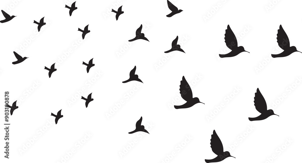 Fototapeta premium birds silhouette vector and illustrator