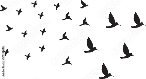 birds silhouette vector and illustrator